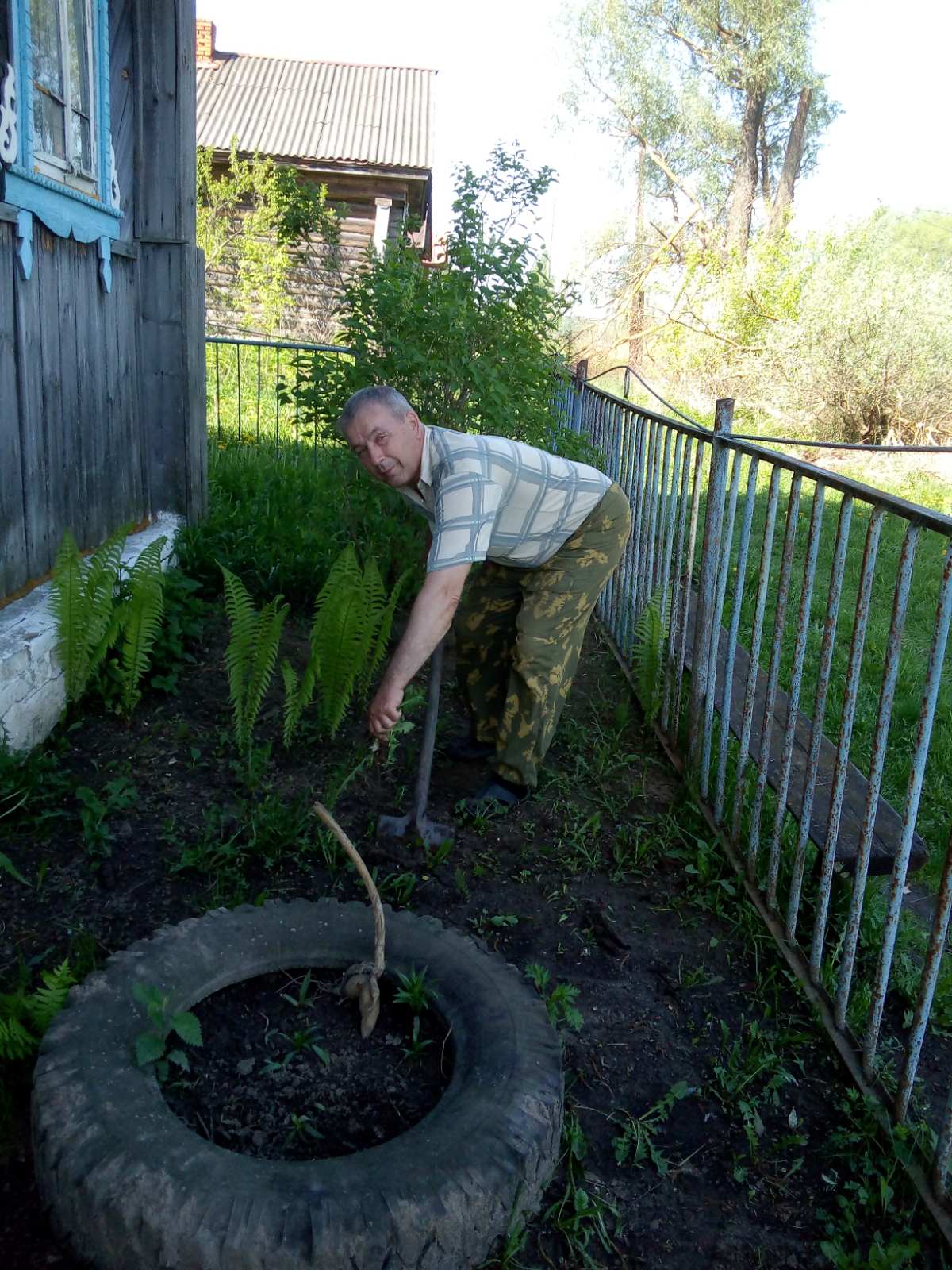 ГБУ «Комплексный центр социального обслуживания населения городского округа  город Выкса» - Социально-бытовое обслуживание на дому